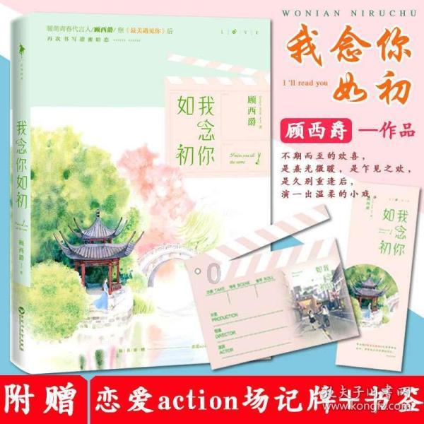 植物大战僵尸19