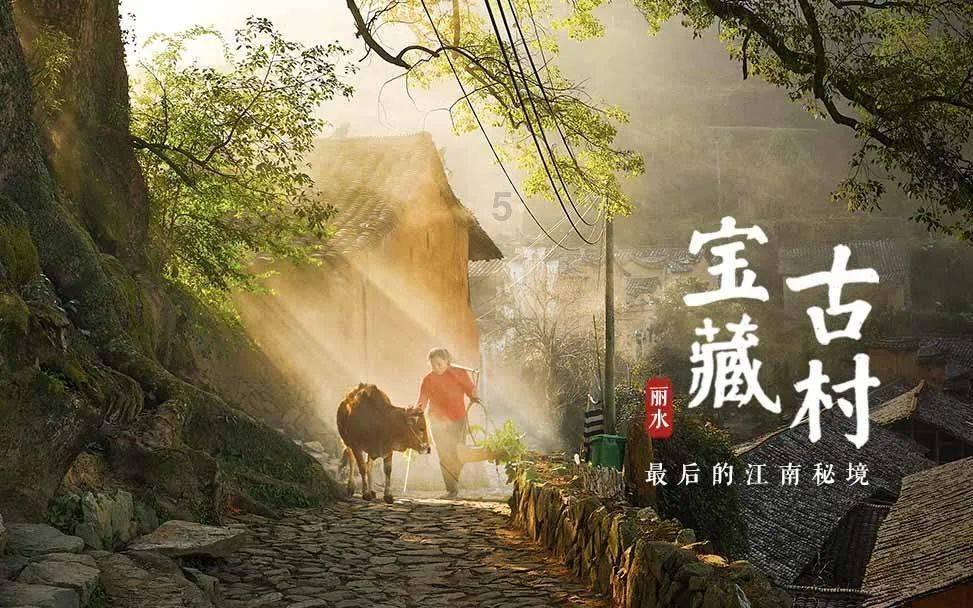 杭州小公司给浙大捐“一个亿”,还想造《大江大河》同款化工厂