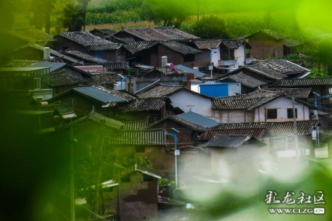 拯救巧虎2