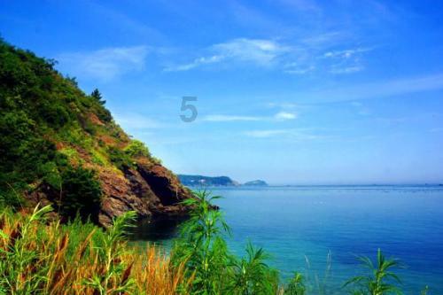 回到豪门后 戴伟浚可以在俄罗斯教头点拨下 成为申花德布劳内吗