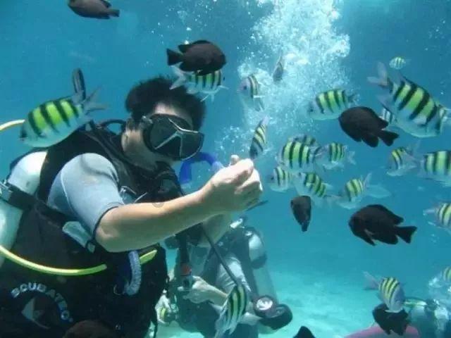欧洲的旅行
