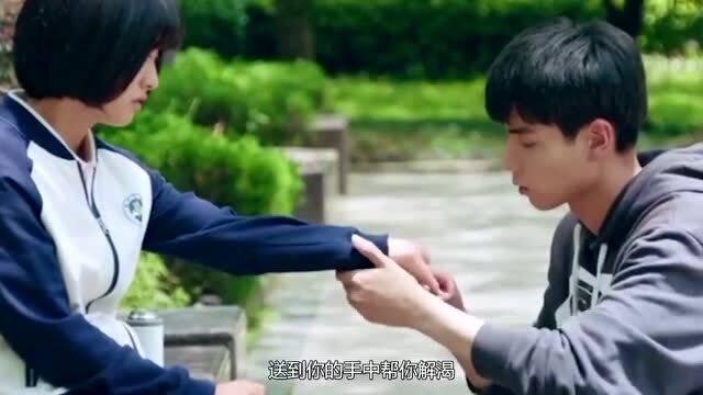 烘培蛋糕记忆卡