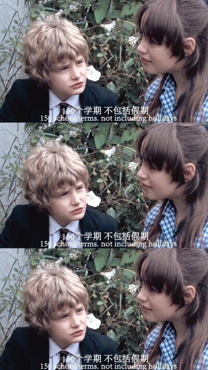 细胞分裂5