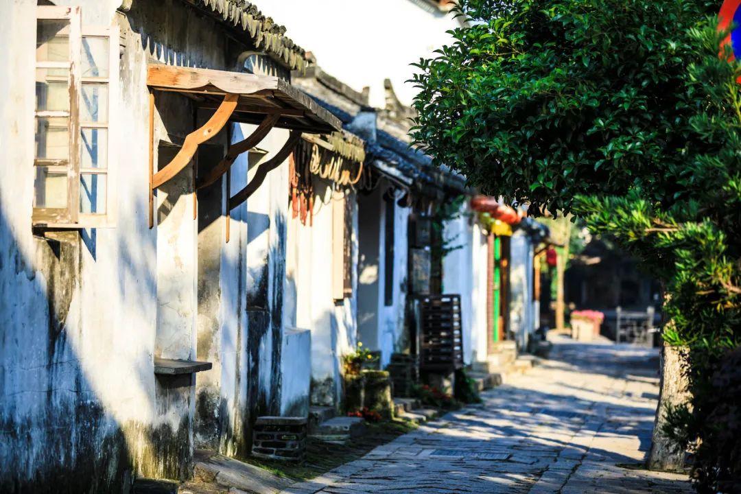 天谕手游