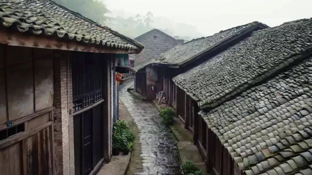 怪物猎人世界
